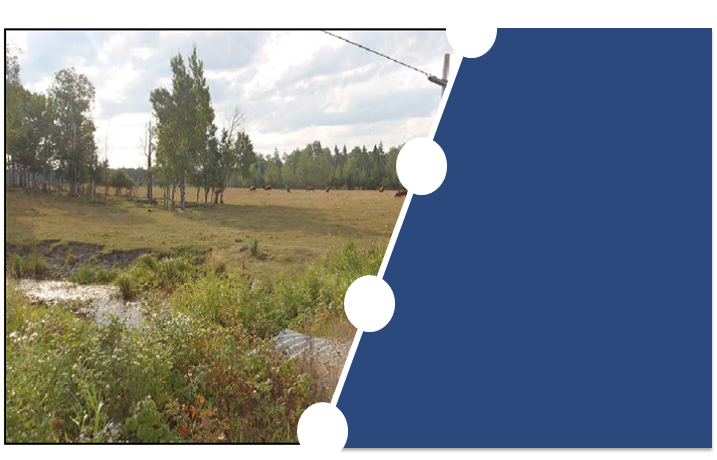 Photo of the Pinewood River and surroundings, described in text in section 5.1.