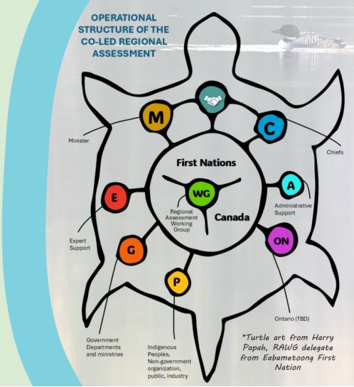 Figure 3. Operational Structure of the Co-led Regional Assessment