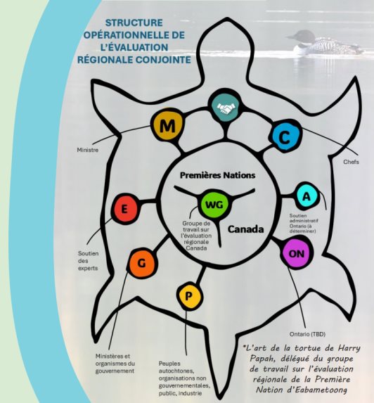 Figure 3 : Structure opérationnelle de l'évaluation régionale codirigée