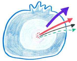 The hand drawn image is a graphic recording captured during RAWG meetings. It shows a blueberry with arrows, representing the Conduct Phase Workplan, Maajitao/Majitata